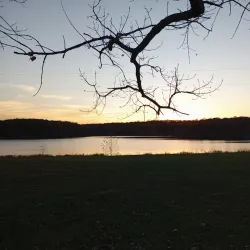 Crab Orchard National Wildlife Refuge - Marion