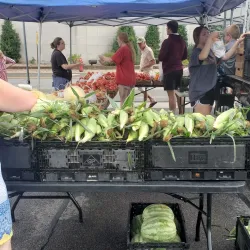 Marion Market - Marion