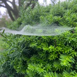 Marion Veterans Memorial Park - Marion