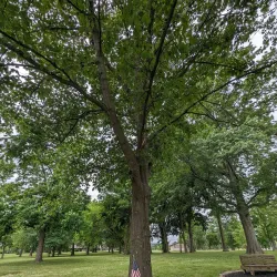 Marion Veterans Memorial Park - Marion
