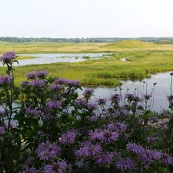 Glacial Park Conservation Area - McHenry