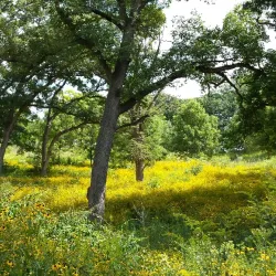 Prairieview Education Center - McHenry