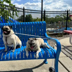 Community Park - Mundelein