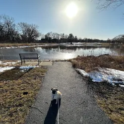 Community Park - Mundelein