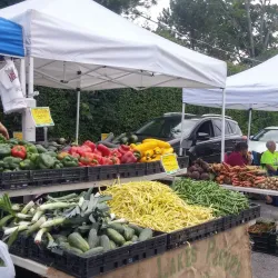 Mundelein Farmers Market - Mundelein