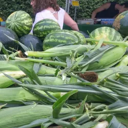 Mundelein Farmers Market - Mundelein