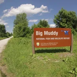 Big Muddy National Fish and Wildlife Refuge - Murphysboro