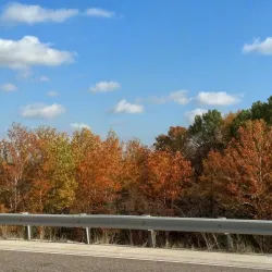 Big Muddy National Fish and Wildlife Refuge - Murphysboro