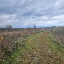 Big Muddy National Fish and Wildlife Refuge - Murphysboro