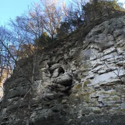 Big Muddy National Fish and Wildlife Refuge - Murphysboro