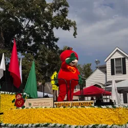 Murphysboro Apple Festival - Murphysboro