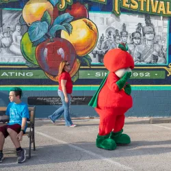 Murphysboro Apple Festival - Murphysboro