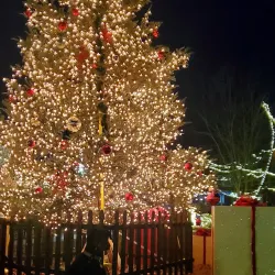 Murphysboro City Park - Murphysboro