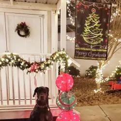 Murphysboro City Park - Murphysboro