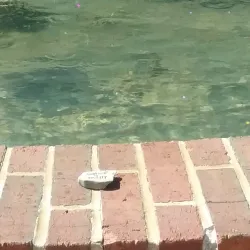 Murphysboro Farmers Market - Murphysboro