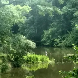 Rend Lake - Murphysboro