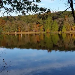 Rend Lake - Murphysboro