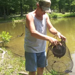 Rend Lake - Murphysboro