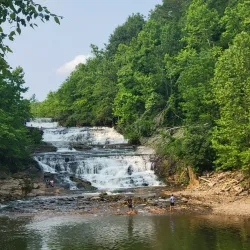 Shawnee National Forest - Murphysboro