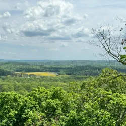 Shawnee National Forest - Murphysboro