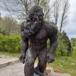 Shawnee National Forest - Murphysboro