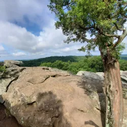 Shawnee National Forest - Murphysboro