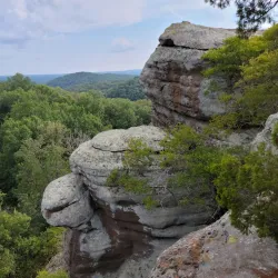 Shawnee National Forest - Murphysboro