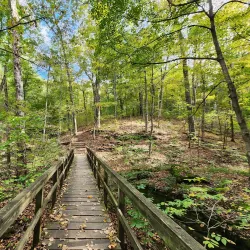 Shawnee National Forest - Murphysboro