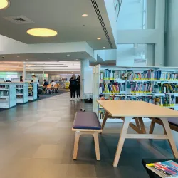 Naperville Public Library - Naperville