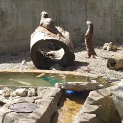 Miller Park Zoo - Normal