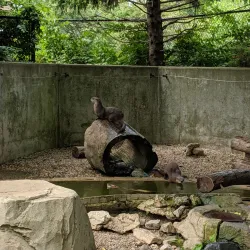 Miller Park Zoo - Normal