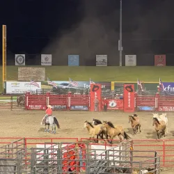 The Corn Crib - Normal