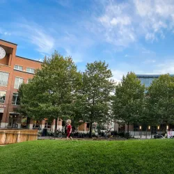 Uptown Normal - Normal