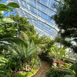Oak Park Conservatory - Oak Park