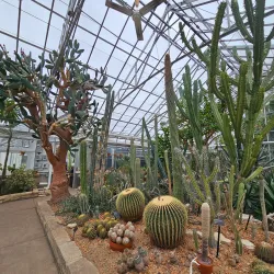 Oak Park Conservatory - Oak Park