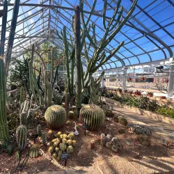 Oak Park Conservatory - Oak Park