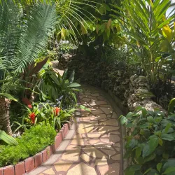 Oak Park Conservatory - Oak Park