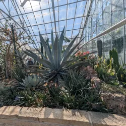 Oak Park Conservatory - Oak Park