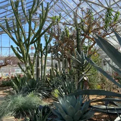 Oak Park Conservatory - Oak Park