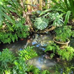 Oak Park Conservatory - Oak Park