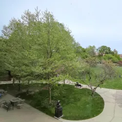 Oak Park Public Library - Oak Park