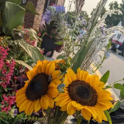 O'Fallon Farmers Market - O'Fallon