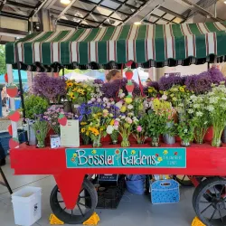 O'Fallon Farmers Market - O'Fallon
