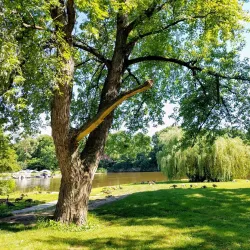 Fox River Trail - Ottawa