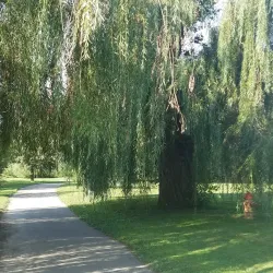 Fox River Trail - Ottawa