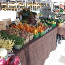 Ottawa Farmers Market - Ottawa