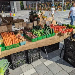 Ottawa Farmers Market - Ottawa