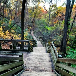 Starved Rock State Park - Ottawa