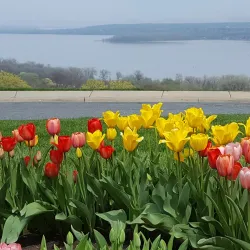 Grandview Drive - Peoria