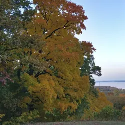 Grandview Drive - Peoria